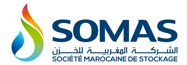 C.Benmessaoud -  Capital Humain et Organisation - SOMAS (Morocco)